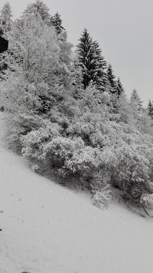 Pension Brunner Bad Kleinkirchheim Kültér fotó